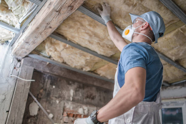 Best DIY Insulation Kits and Guidance in Sugar Grove, IL