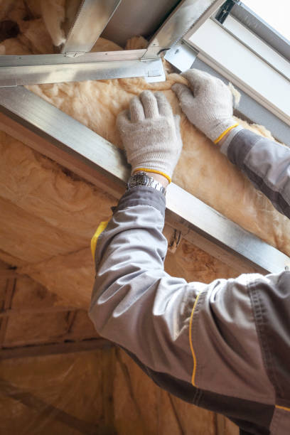 Best Cellulose Insulation in Sugar Grove, IL